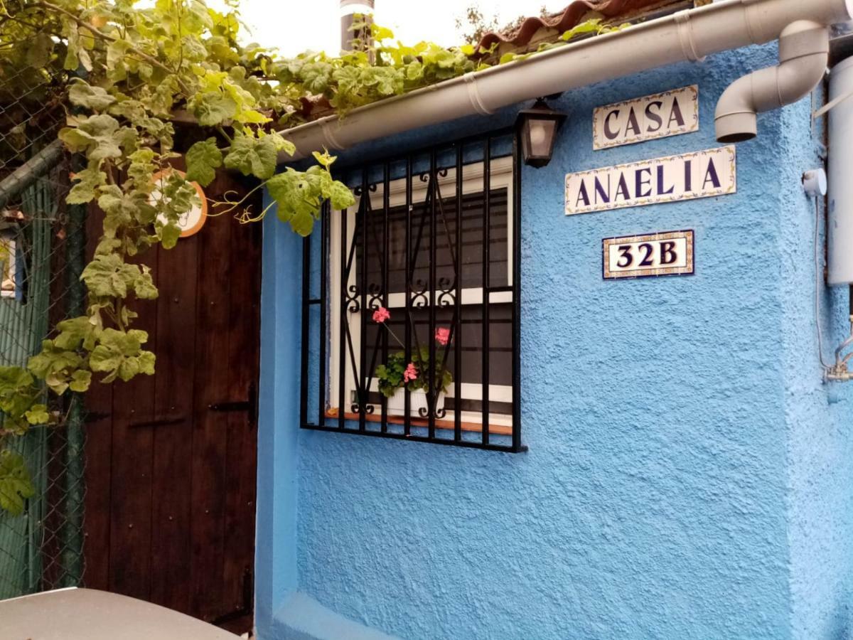 Вилла Casa Anaelia Ля Оротава Экстерьер фото